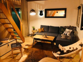 Cosy duplex with Hammam-Steamroom in Rochebrune